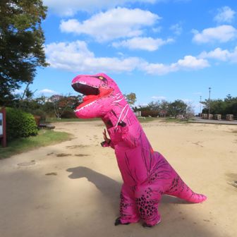 登って来た東谷でも 着て撮影したとか　
ガオー(とは言ってません)