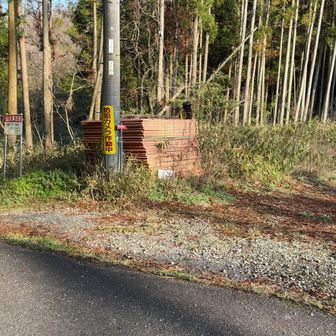 オッチャンは帰ってます