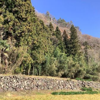 兵どもが夢の跡、のよう