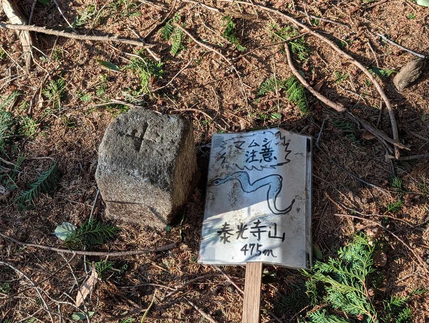 ③泰光寺山山頂に着きました🙋