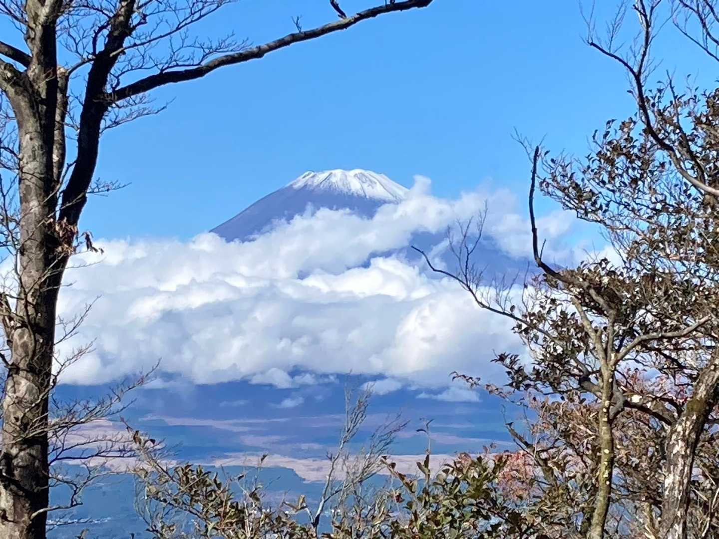 なんと、🗻まで