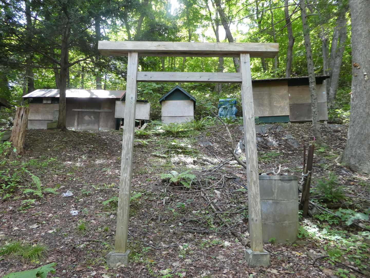 五天山神社③