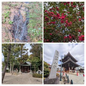 滝。

山茶花。

市杵島姫神社。

中山寺山門。
