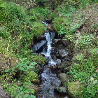 冷たそうなお水です🚰