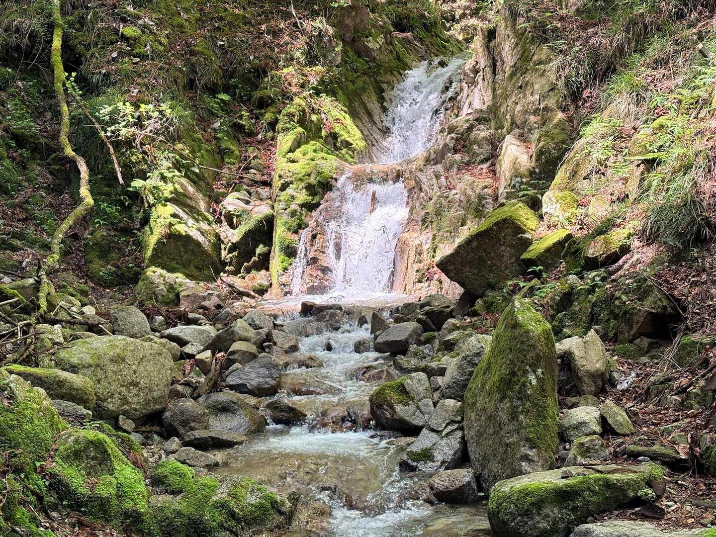 三森山-水晶山 周回コースの写真