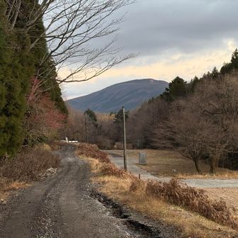 湯沢台に行くには、一旦来た方に戻ります↩️さっきのバンビちゃん🦌おるかな？