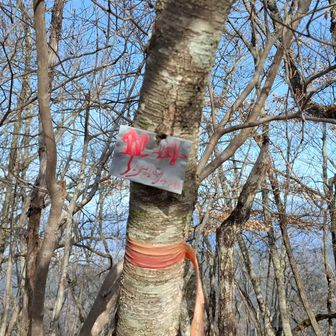 鍵掛。おどろおどろしいです。