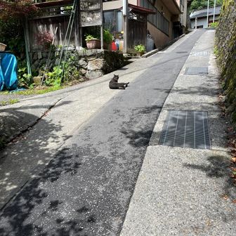 クーのおじちゃん