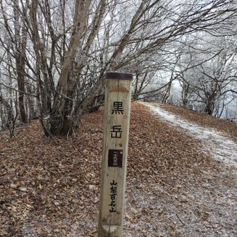 黒岳山頂到着。樹氷から落ちた氷が積雪の後みたい。