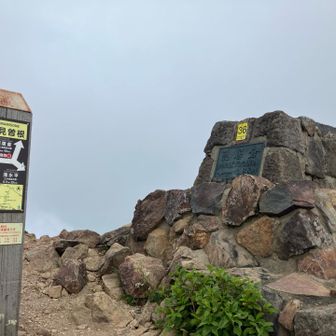 熊見曽根の山肌には　2時間ほど前に熊さん🐻がいたようで… まさかのニアミス😅 会わなくてよかった〜😂