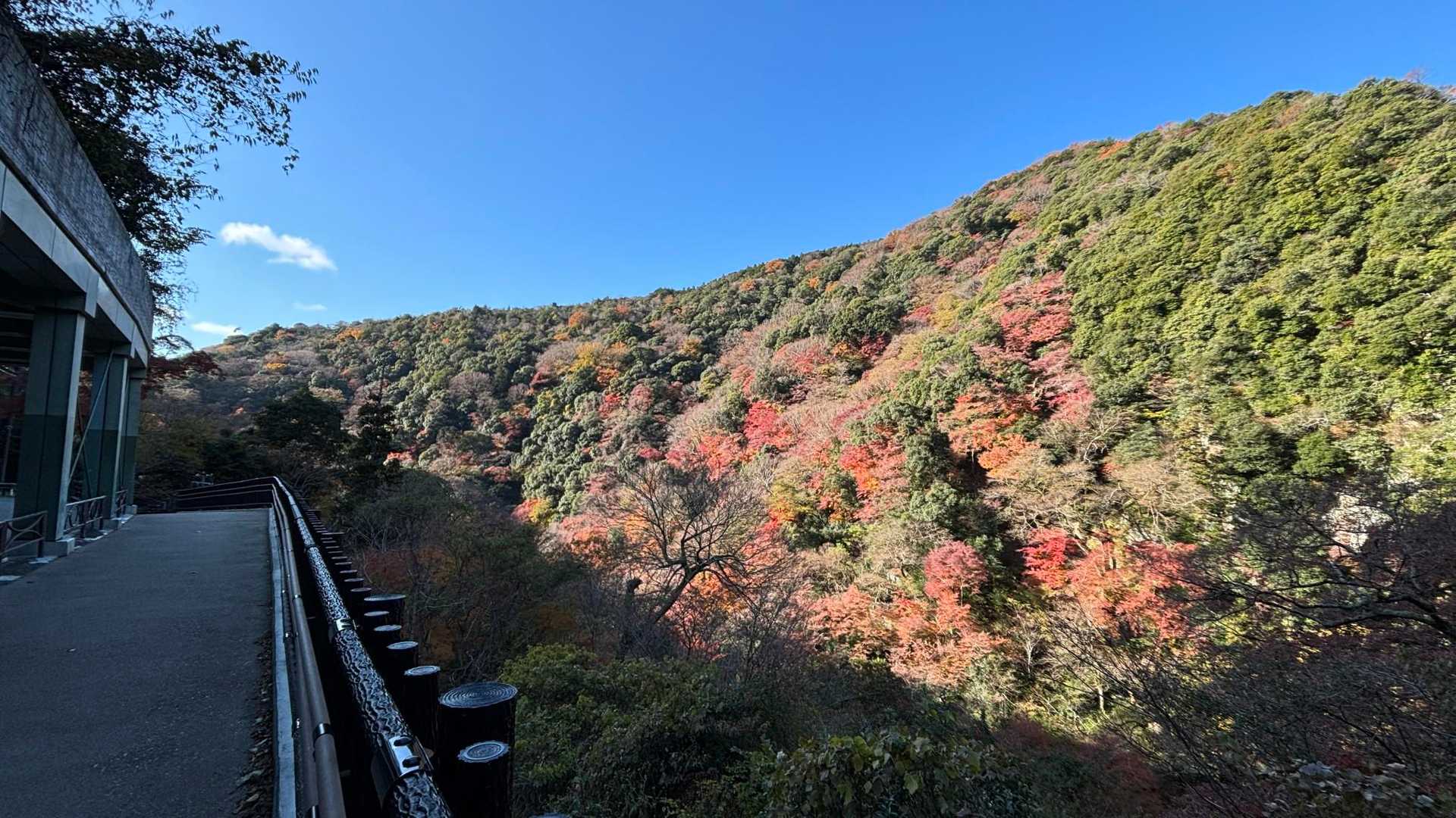 快晴です！