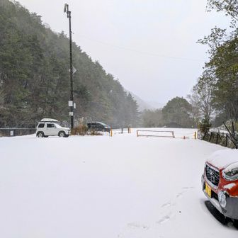 割谷駐車場にやってきましたー！来た時は薄っすら地面が見えてましたが、２時間ほど車で寝てたら真っ白になってました