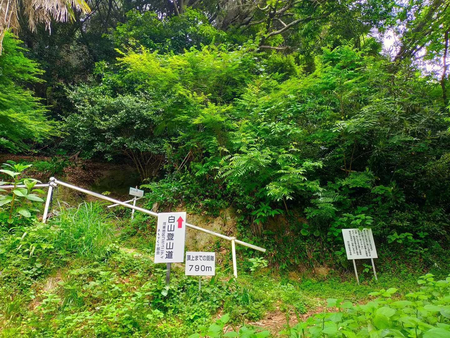 白山城跡登山口-白山 往復コースの写真