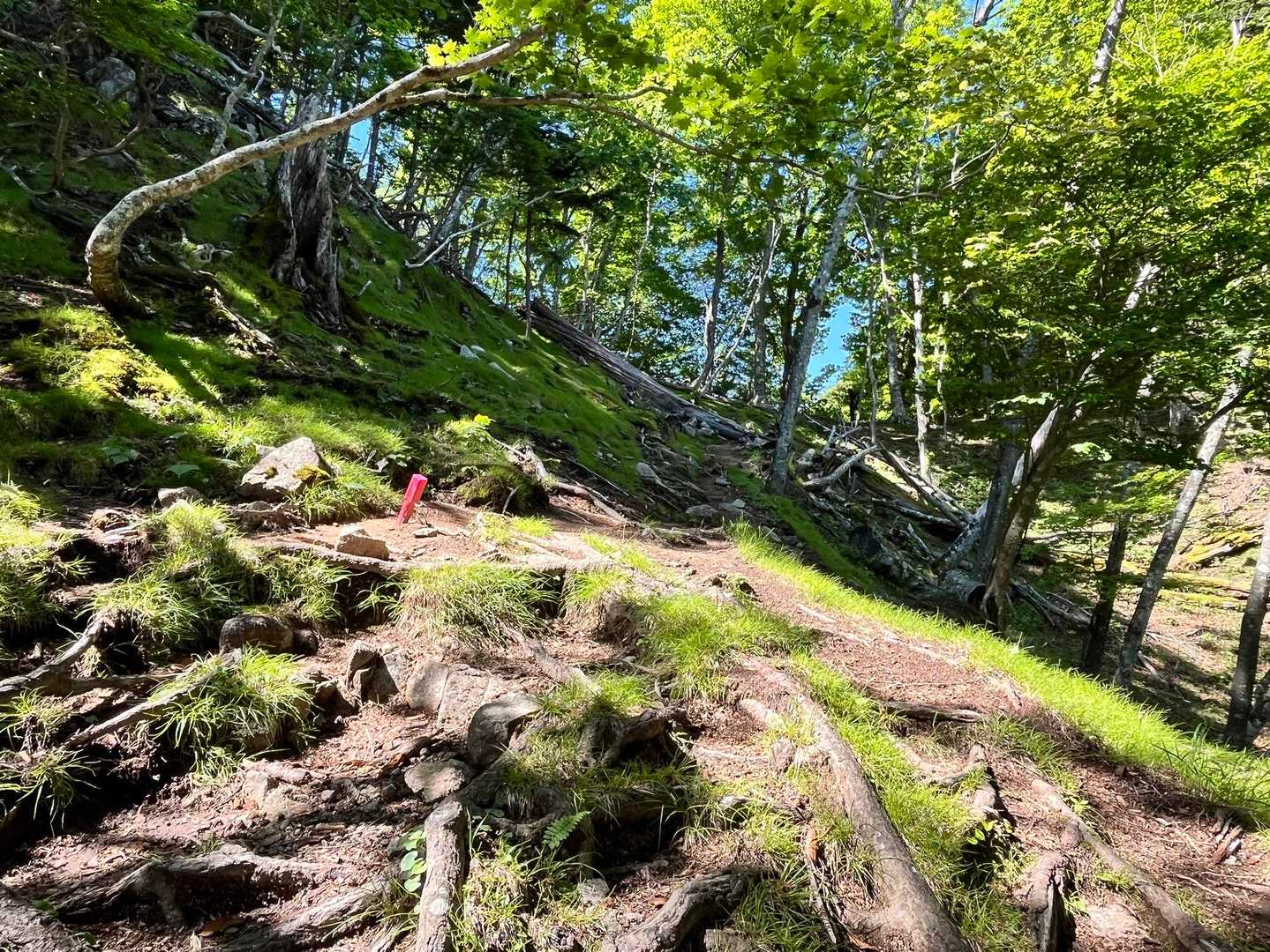 栃木県の山はスケールが違います✨
なんか癒されます。