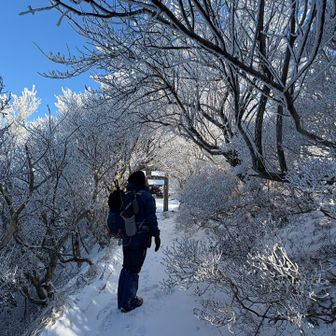 実は、元旦にお友達になったばかりの「つだファミリー」のnanaさんとお会いして同行してもらました。
池之原駐車場🅿️で「おはようございます」と遠くからお声かけいただいて「おはようございます」と返したものの…わかってませんでした。🙇‍♂️
仁田峠まで上がって休憩したら、追いつかれて、ちゃんとお顔みて「あ！」
スマホには、つださんから「nanaさんが登ってます。よろしく！」の旨のメッセージが！😅