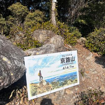 こうやって撮るのが良いとオススメされているので、