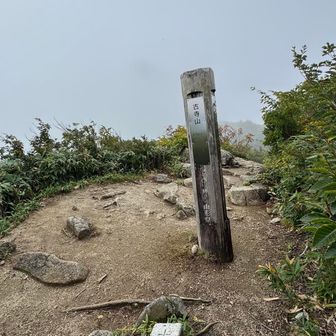 小寺山着
展望はきかない。
時折、ガスの合間に青空が覗く