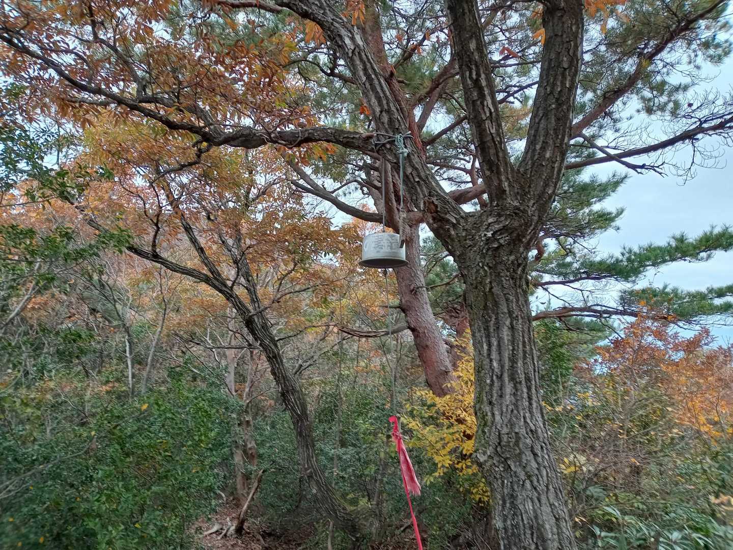 幸せの鐘