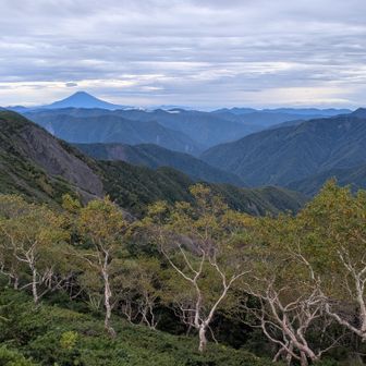 再び光岳に向かう途中