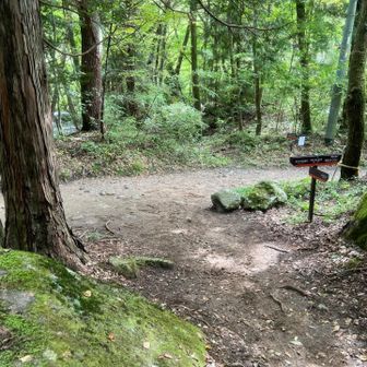 登山口までに無事下山しました😮‍💨