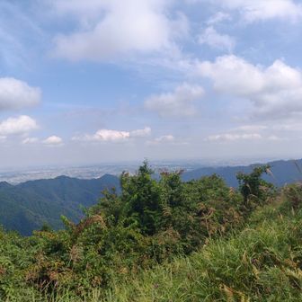 景信山より