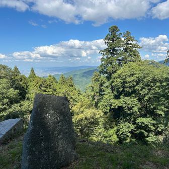 で、2度目の山頂😅も写真に収めとく📸
山頂行かなくてもこの辺でピーク取れたのでもうここで良しとする。