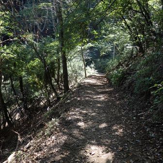 酒気帯びなので下山は慎重に。和田峠までトラバース道を下り、陣馬高原下バス停まで林道経由で