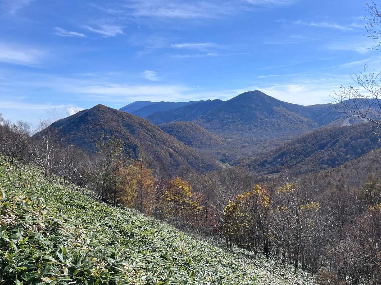 分かりずらいですが浅間山