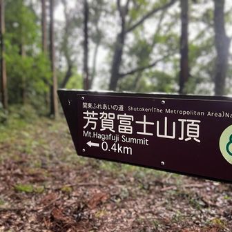 残りやっと400メートルだっ‼️


まだ8分しか歩いていませんでした
