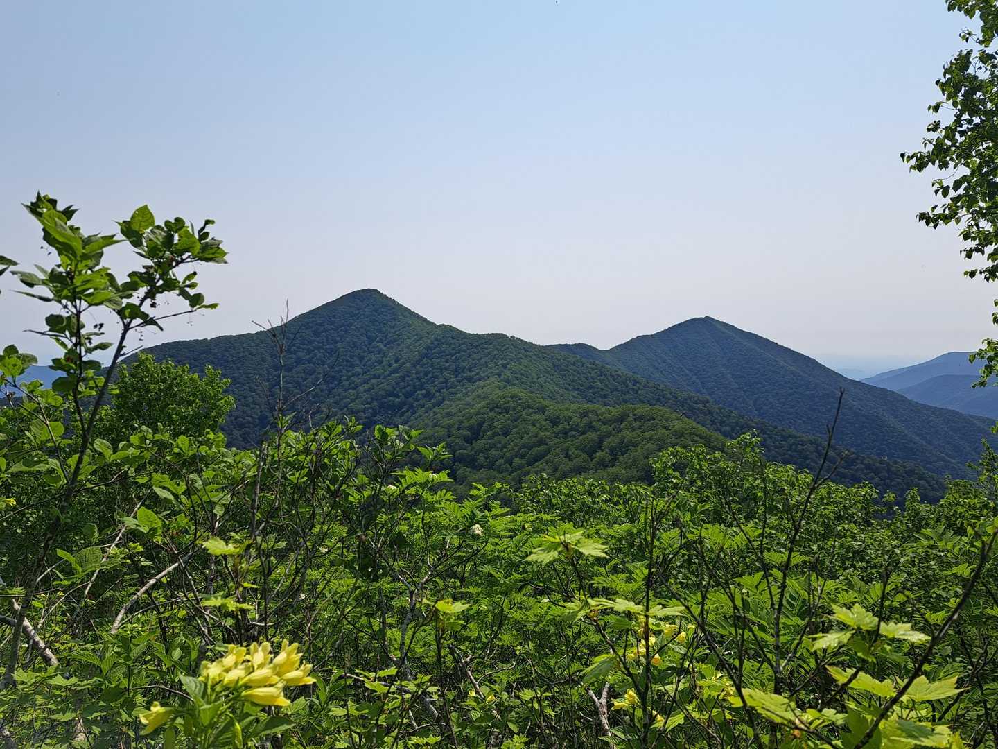 振り返って伏美岳と妙敷山