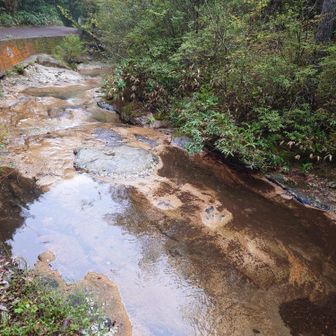 小川の水の流れが底面が一枚岩に
なって珍しい　涼し気でいい