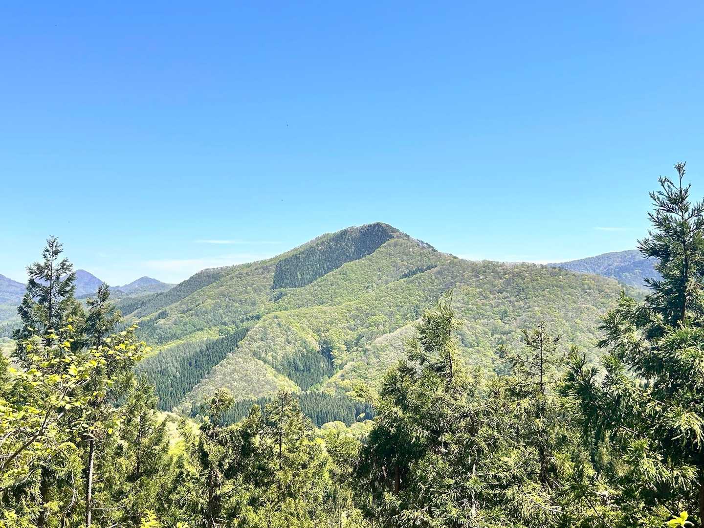 お隣には女助山⛰️木によって色が変わってパッチワークのようで素敵✨🌲🌳