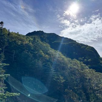 陽射しが良きかな