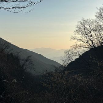 奈良って感じの景色です