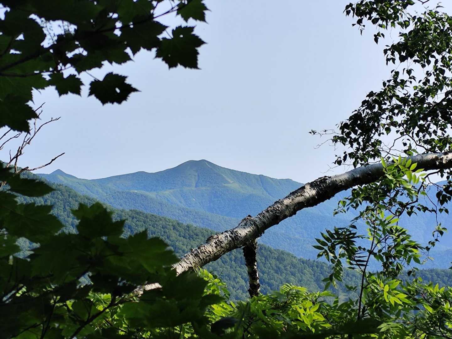 隙間から芽室岳