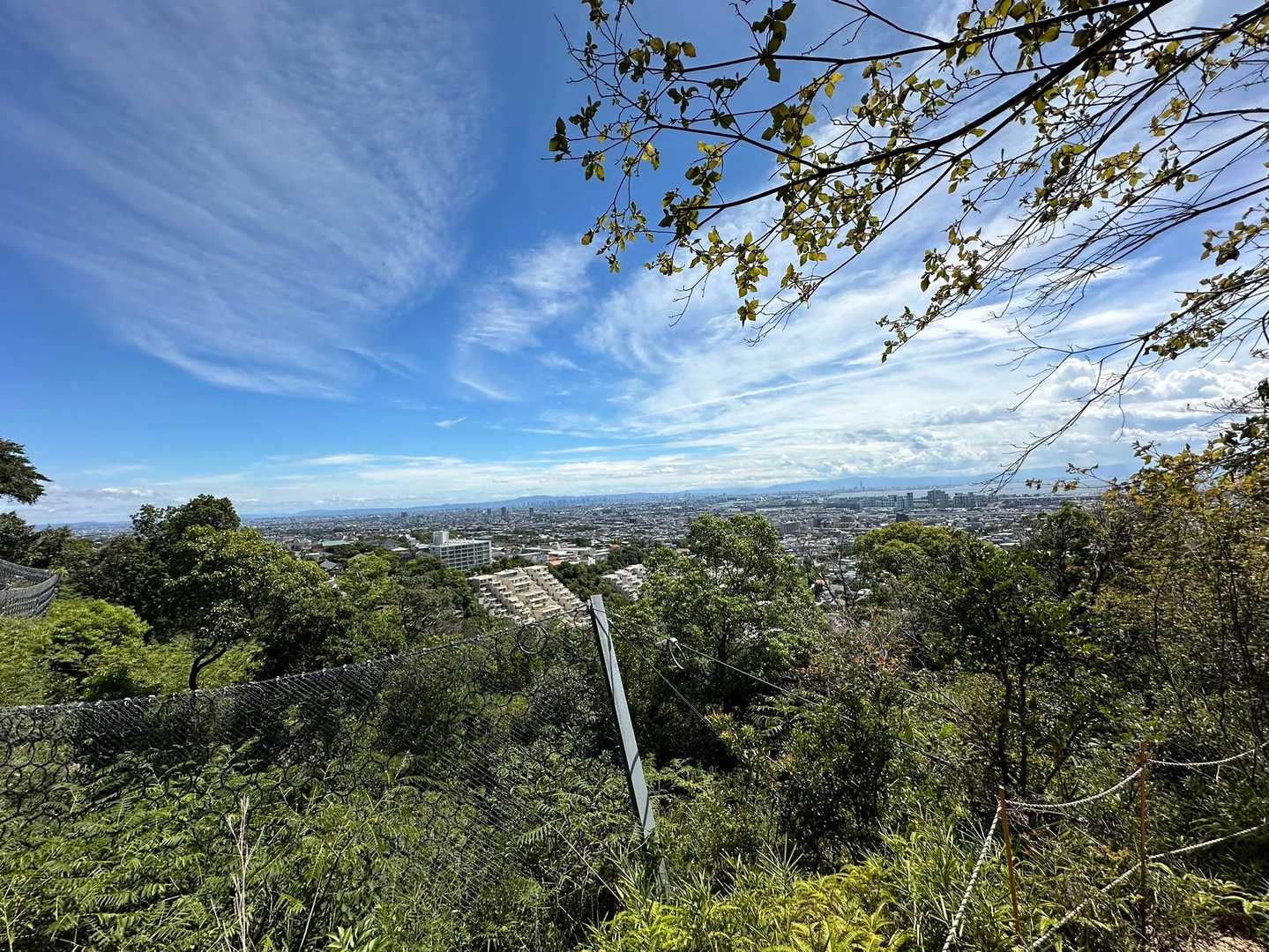 城山登山口-城山 往復コースの写真