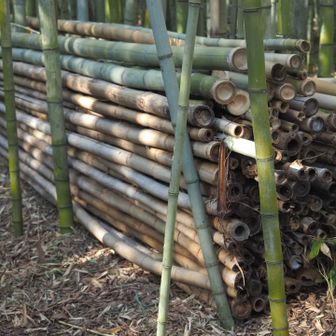 再び竹林
見事に積んである
いい仕事してますね😁