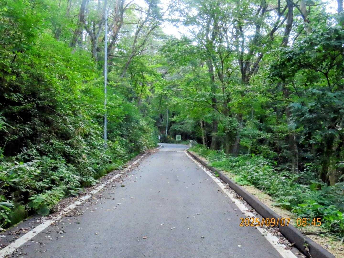 参道を進みます。