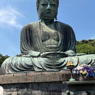 久しぶりの大仏様