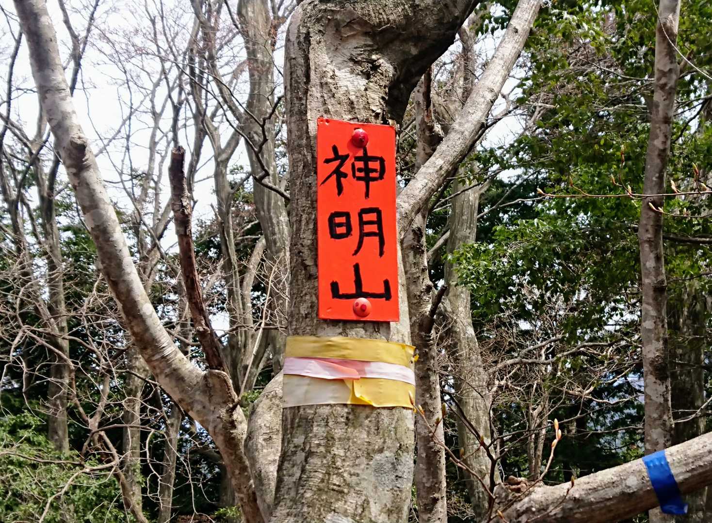 余呉湖の北岸に戻り稜線を歩くと神明山⛰️
