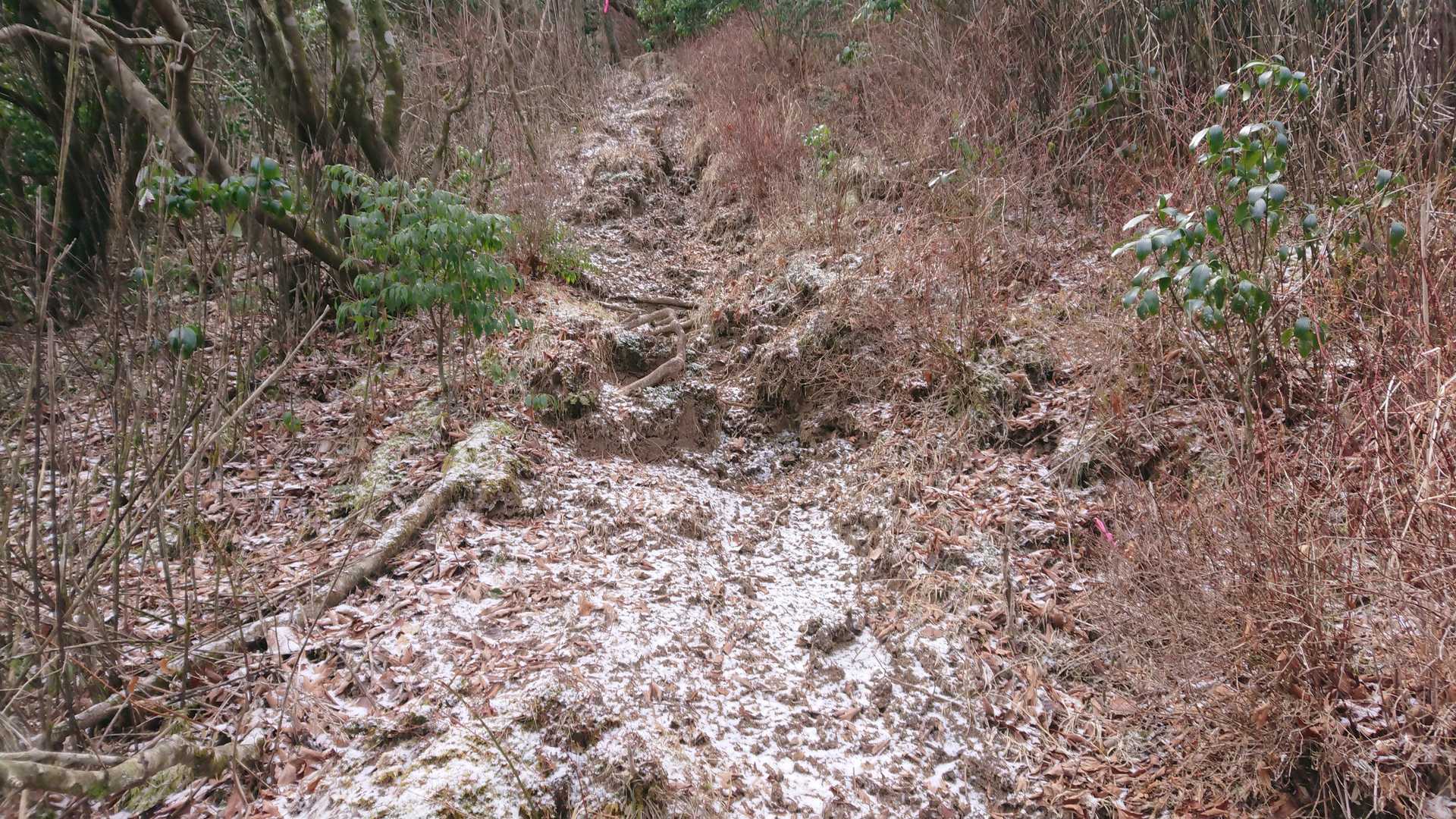 落ちてきた樹氷で敷き詰められた登山道