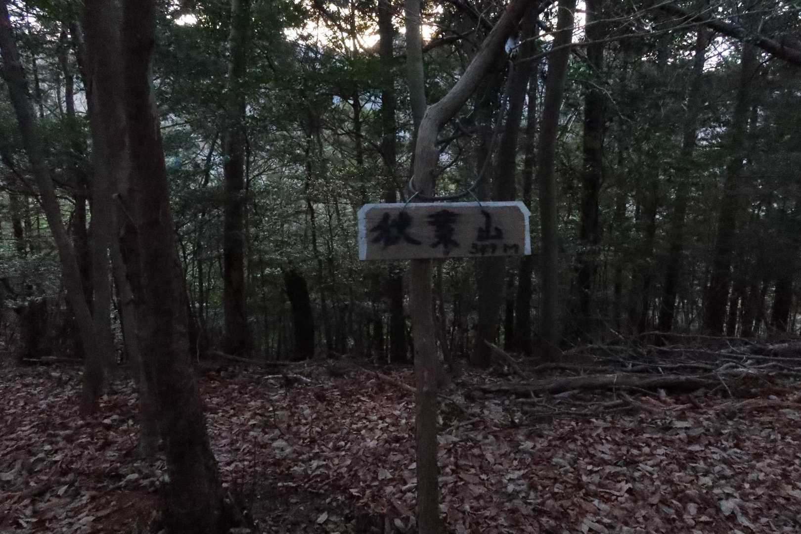 先ずは一山目。。。秋葉山（349m）有難う御座います。
