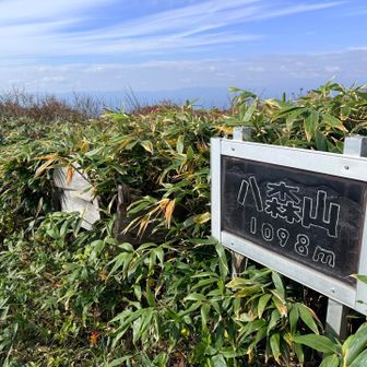 八森山🙌西峰到着

何年ぶりだろう。なんか懐かしい温かい気持ちになりました