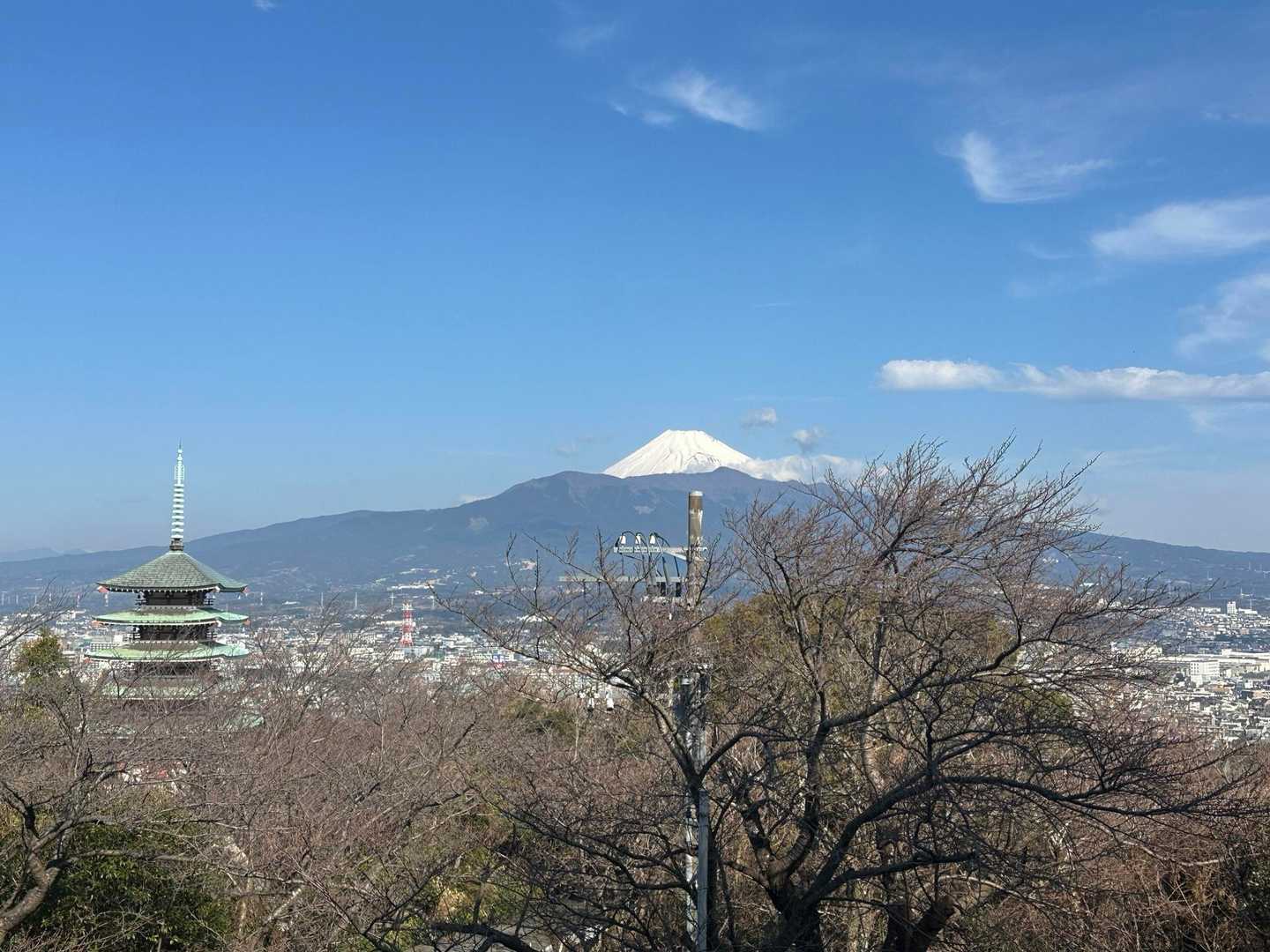 少し上がると富士山🗻と五重塔がよく見えます。
桜の時期は最高ですね