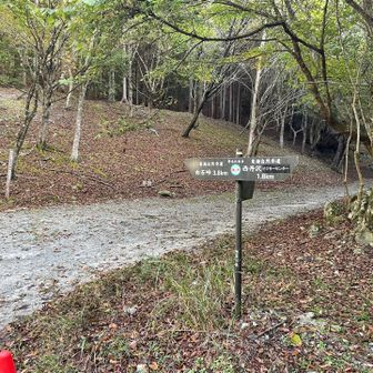 用木沢出会い
白石峠と犬路越方面の分岐