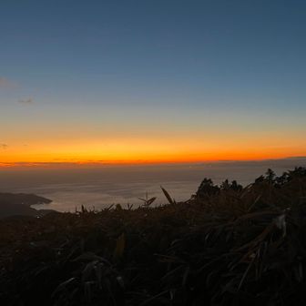 まじで綺麗すぎる。
