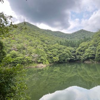 電車の時間を気にするあまり、駅から近くのこの池が見えてなかった！

写真で見ると、とてもキレイな場所なのに😆