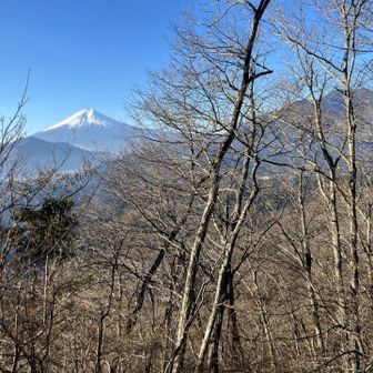 羽根子山前の道中