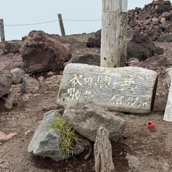 その後、久しぶりに男女岳に登ってみた。
…やっぱり、ここしんどい😓
