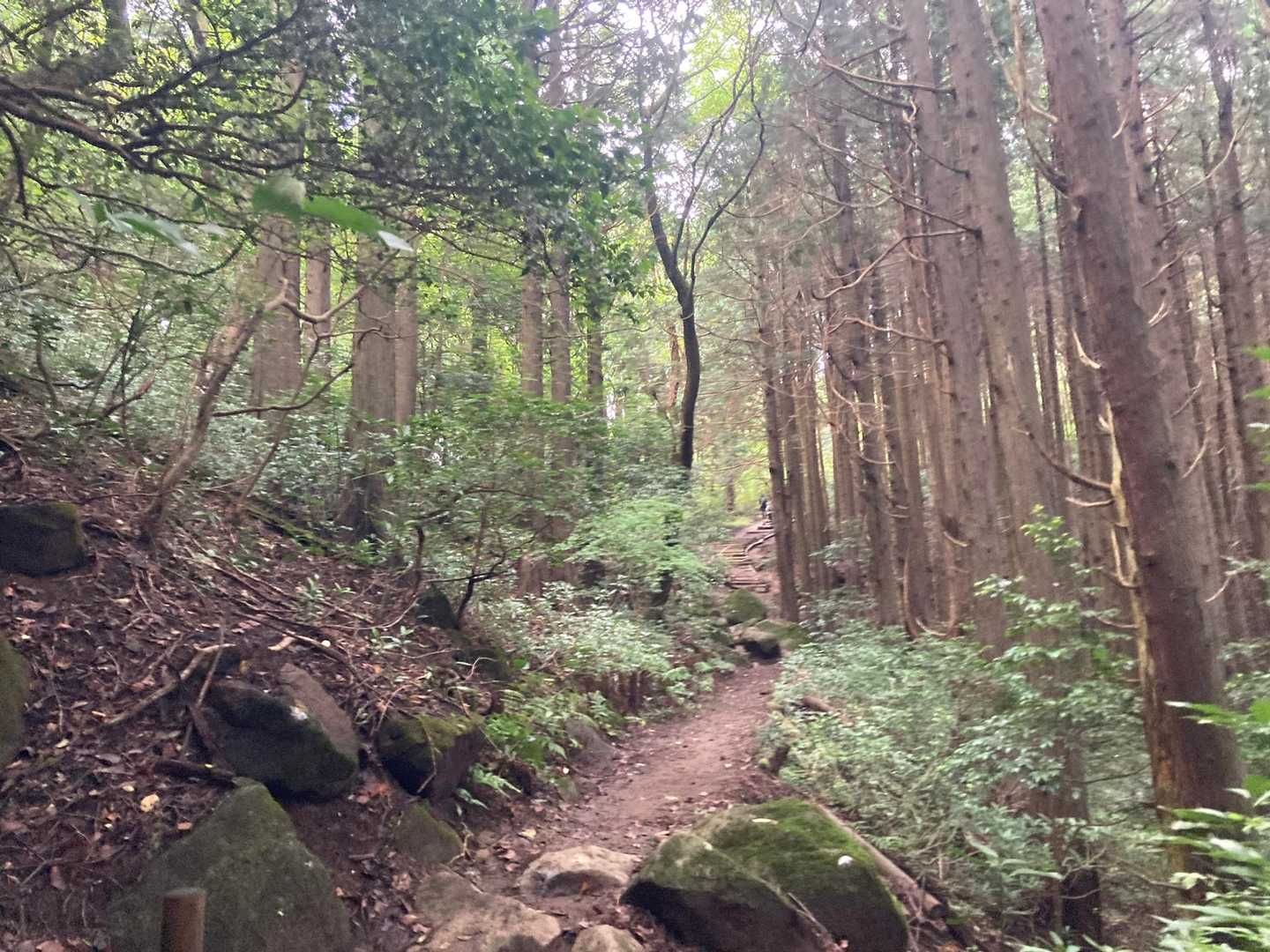 階段終われば、あとはまったりと🚶‍♂️‍➡️